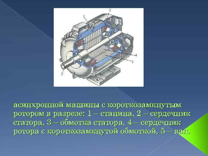 асинхронной машины с короткозамкнутым ротором в разрезе: 1 – станина, 2 – сердечник статора,
