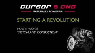 Cursor 9 CNG - Piston & Combustion