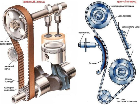 Цепь и ремень