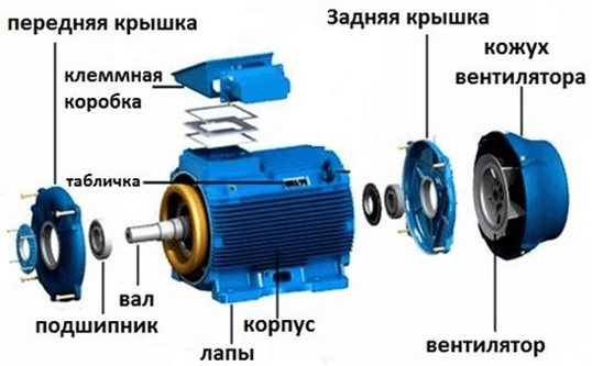 Устройство асинхронного электродвигателя