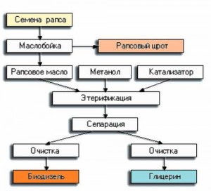 Технология производства биодизельного топлива