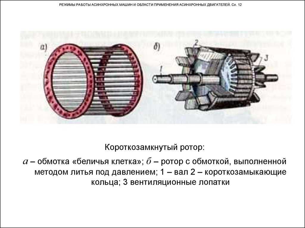 Ротор асинхронного двигателя. Ротор асинхронного электродвигателя (беличья клетка). Беличья клетка асинхронного двигателя с короткозамкнутым ротором. Беличья клетка асинхронного двигателя. Асинхронный двигатель ротор беличья клетка.
