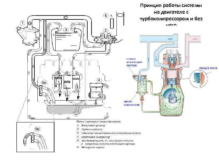 Принцип работы системы на двигателе с турбокомпрессором и без него 