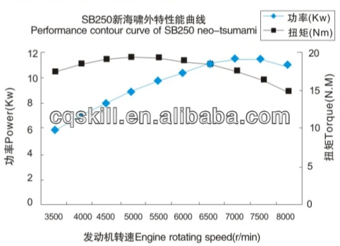 zongshen sb250 zs170mm 250 двигателя для трехколесный велосипед