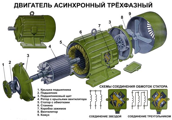 ASINHR-1