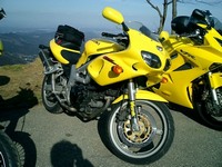 Обзор характеристик необычного мотоцикла Suzuki SV 400