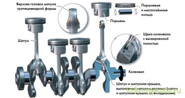 Поршни CWVA