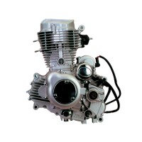 Двигатель Lifan LF163 FML-2M