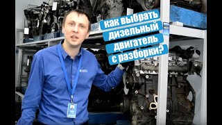 Как выбрать дизельный двигатель? Советы специалиста.