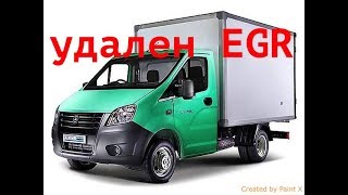 Газель NEXT Cummins : прошивка и удаление EGR