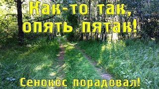 Как-то так, опять пятак! Сенокос порадовал! Коп с Квазар АРМ