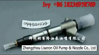 Weichai WD10 Diesel Engine Injector 0445120224 from China Factory