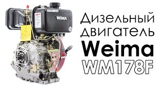 Дизельный двигатель Weima WM178F