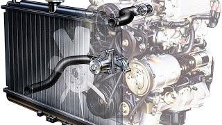 Принцип работы системы охлаждения двигателя (на примере Ford Fusion)