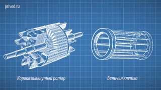 Модуль №3. Принцип работы асинхронного электродвигателя.