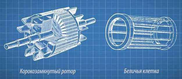 Короткозамкнутый и фазный ротор