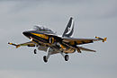 Black Eagles T-50.jpg